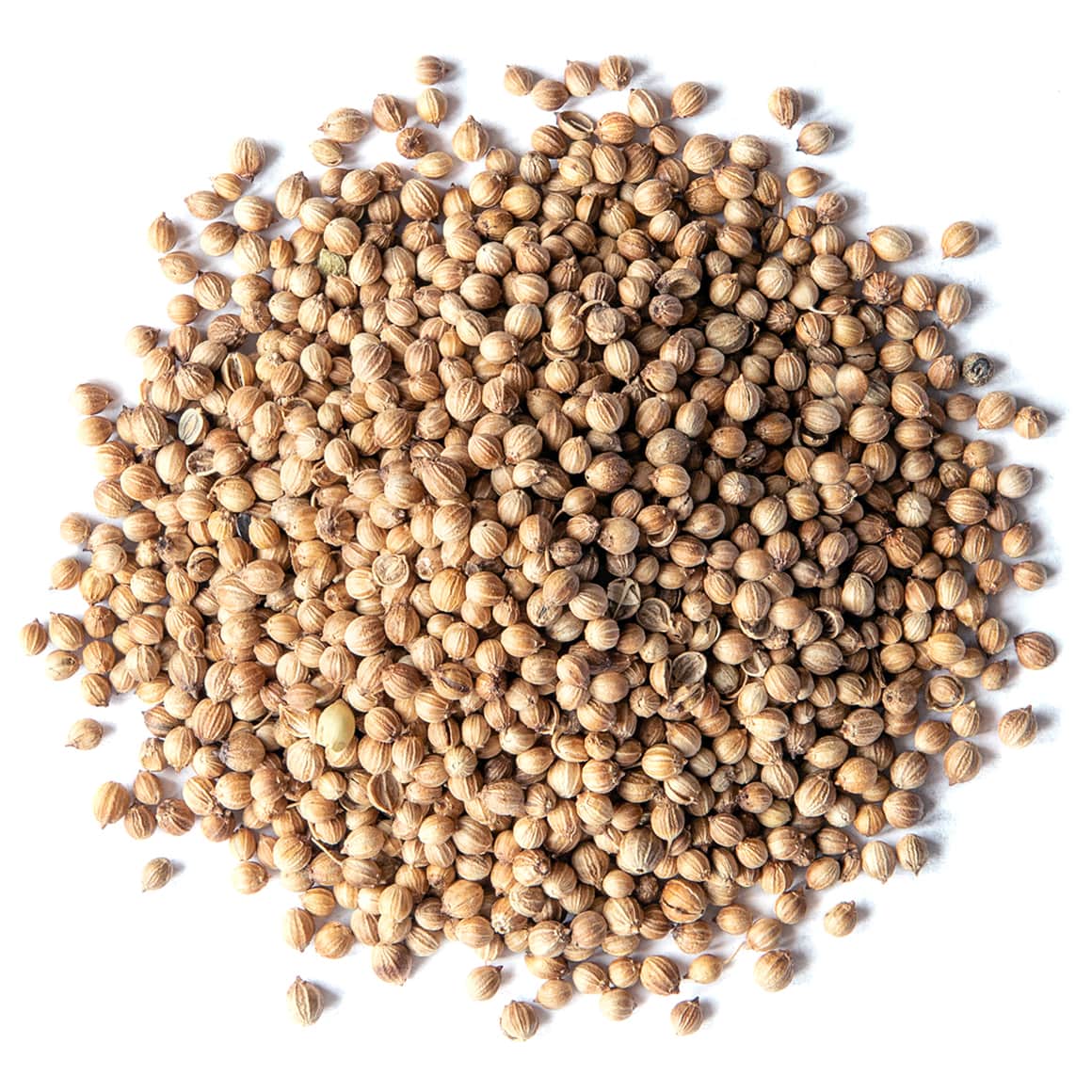 Elrihanna Coriander seeds